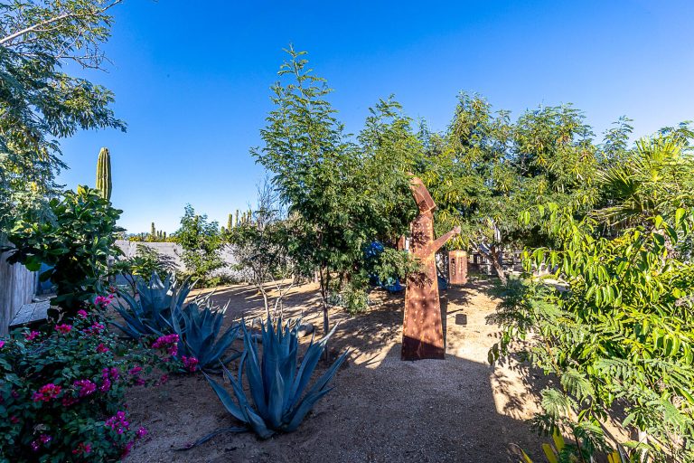 Finca Tierra del Sol – photo 5