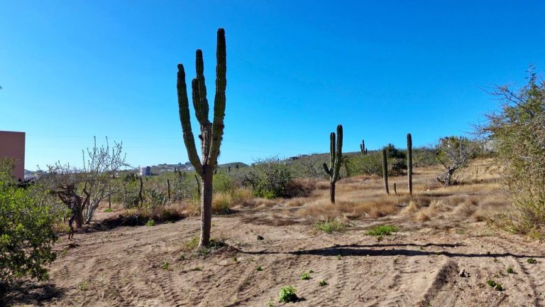 - Fire Sale - Lote Rafa – photo 4