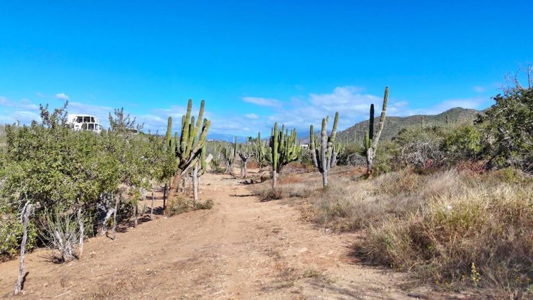 - Fire Sale - Lote Rafa – photo 3
