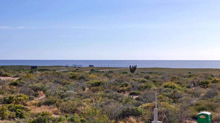 --Fire Sale-- Wave Side Lot – photo 4