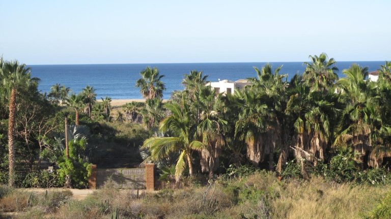 Hacienda Los Olivos – photo 2