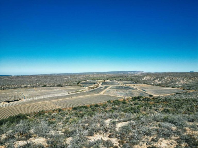 High Cliff Unobstructed View – photo 5