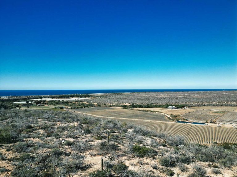 High Cliff Unobstructed View – photo 3