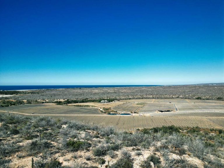 High Cliff Unobstructed View – photo 4