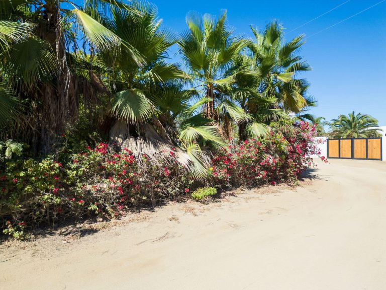 Huerta 28 Half Acre – photo 3