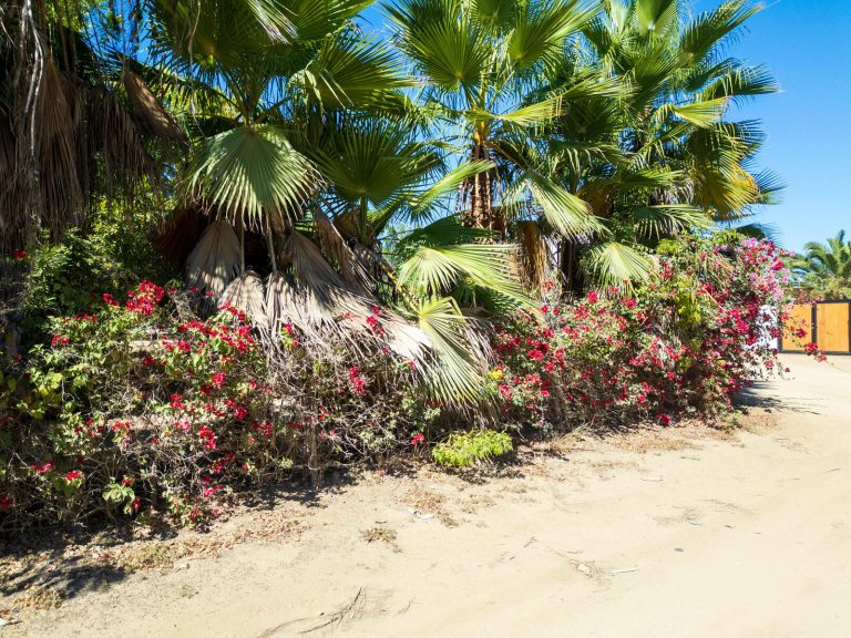 Huerta 28 Half Acre – photo 2