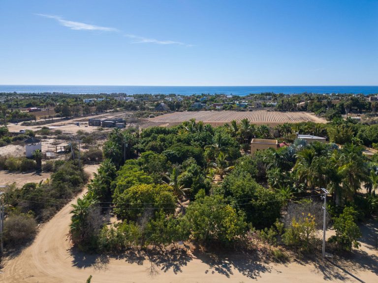 Huerta 28 Half Acre – photo 5