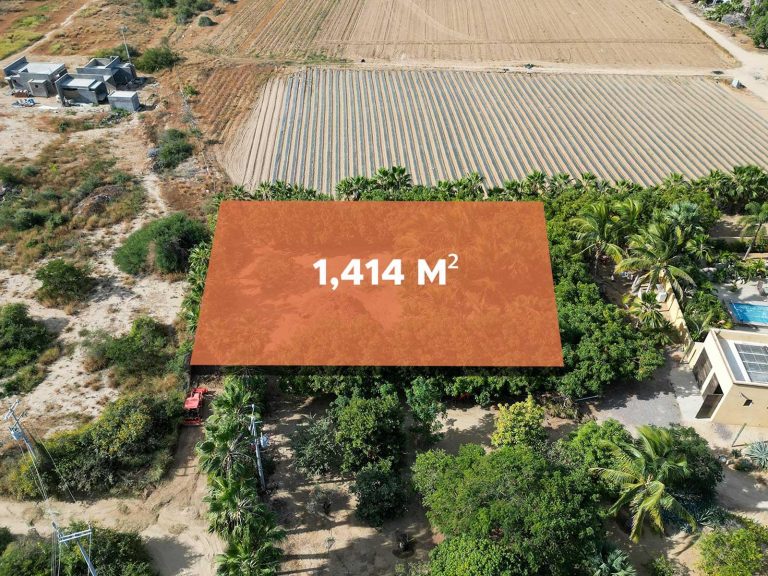 Huerta 28 – photo 3