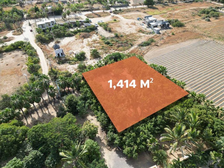 Huerta 28 – photo 4