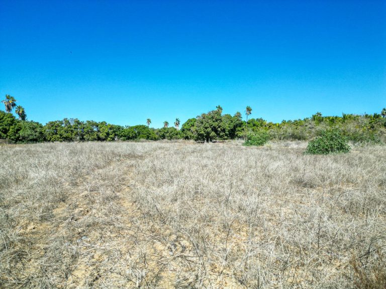 Huerta Alegria – photo 3