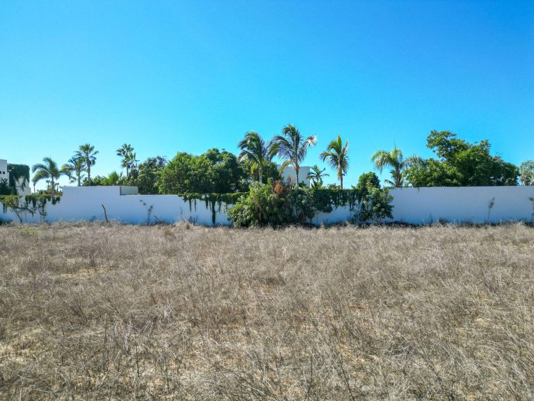 Huerta Alegria – photo 4