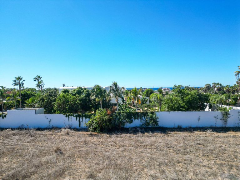 Huerta Alegria – photo 5