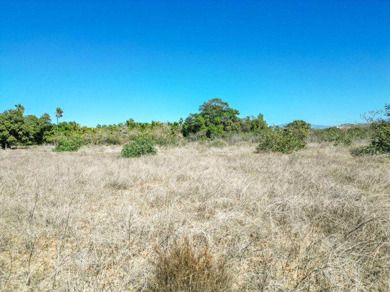 Huerta Alegria – photo 2