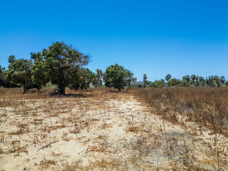 Huerta La Alegria #4 – photo 5