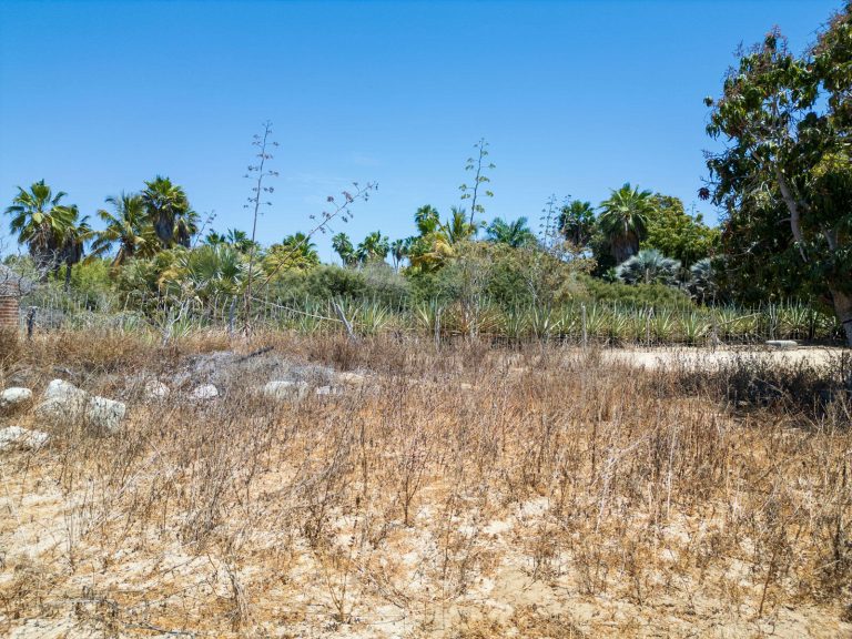 Huerta La Alegria #4 – photo 3