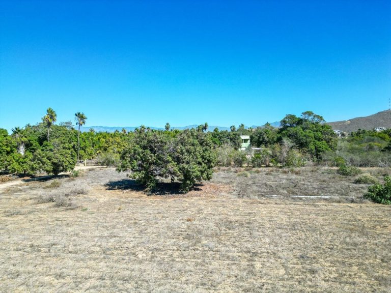 Huerta La Alegria 5 – photo 3