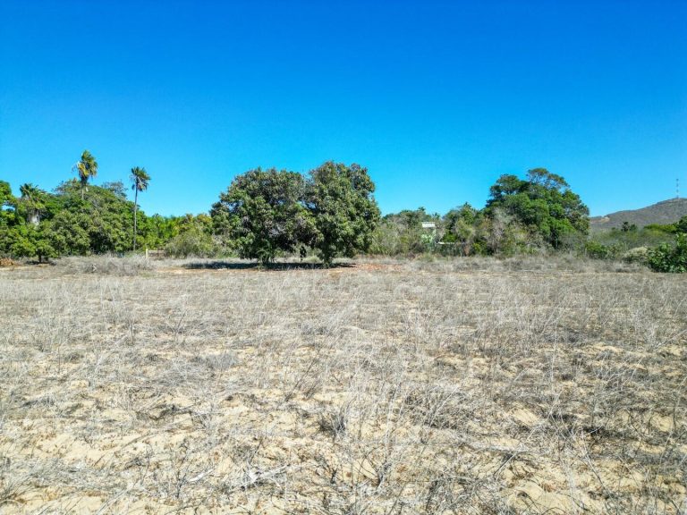 Huerta La Alegria 7 – photo 3