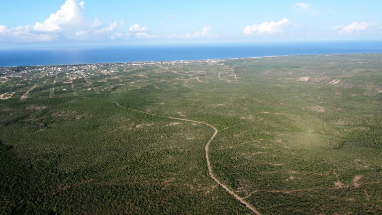 La Tinaja 0003 – photo 4