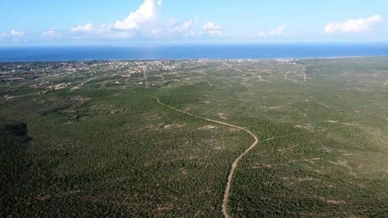 La Tinaja 0007 – Land for sale in Todos Santos-General, Todos Santos