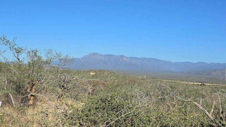 La Tinaja 004 – photo 2