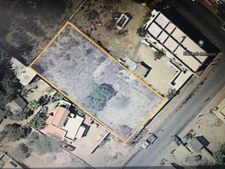 LAND FOR SALE IN TODOS SANTOS – photo 4