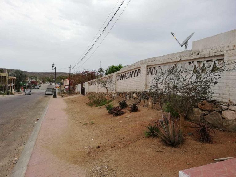 LAND FOR SALE IN TODOS SANTOS – photo 3