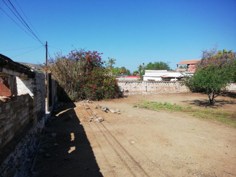 LAND FOR SALE IN TODOS SANTOS – photo 5