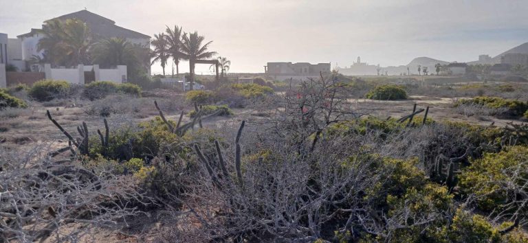 LAND IN LOS CERRITOS – photo 3