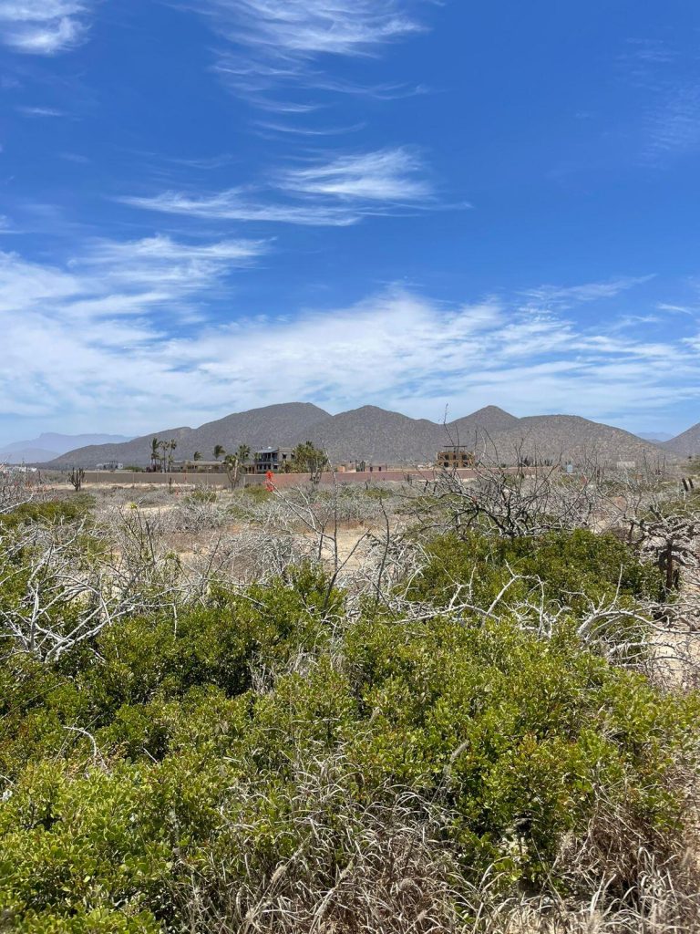 LAND IN LOS CERRITOS – photo 2