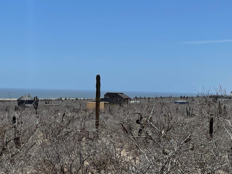 LAND LAS PLAYITAS – photo 4