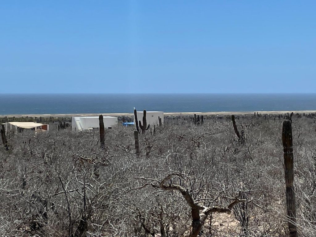 LAND LAS PLAYITAS – photo 1