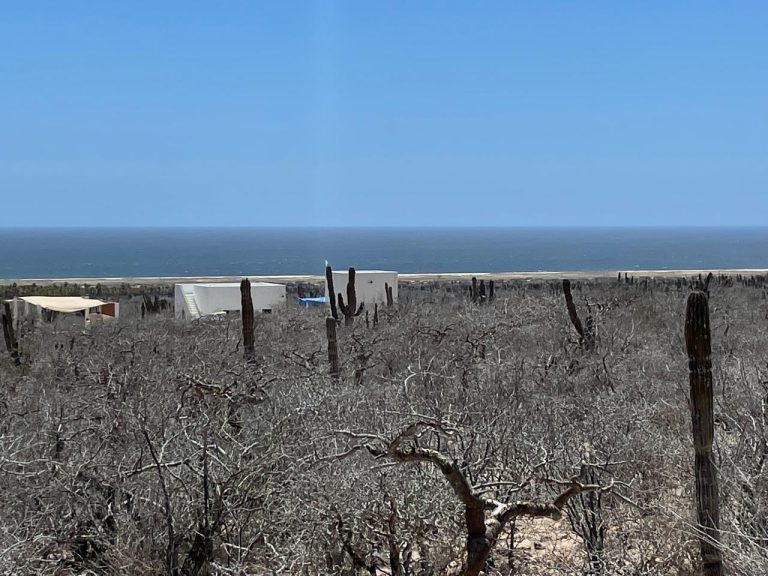 LAND LAS PLAYITAS – Land for sale in Las Playitas, Todos Santos North (Las Playitas / Agua Blanca)
