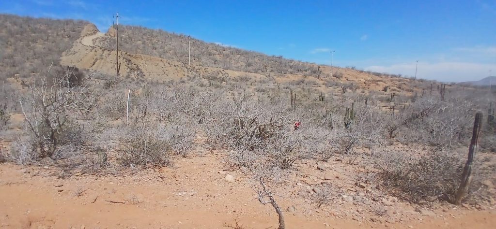 LAND LOS ZARAPES – photo 1