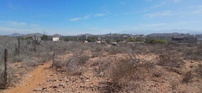 LAND LOS ZARAPES – photo 3