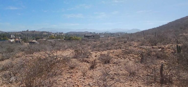 LAND LOS ZARAPES – photo 4