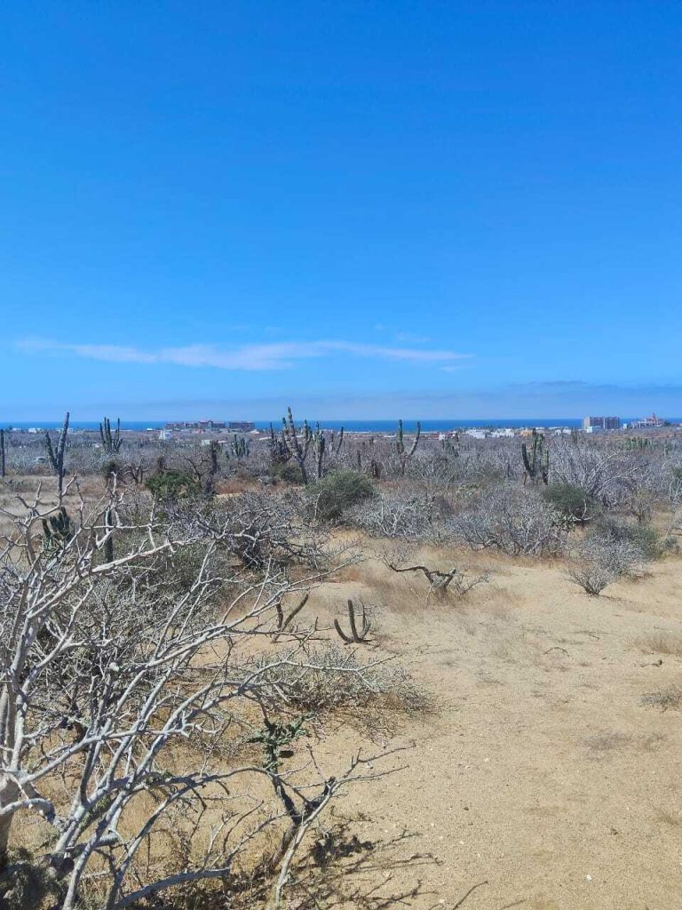 LAND OCEANVIEW LOS CERRITOS – photo 3