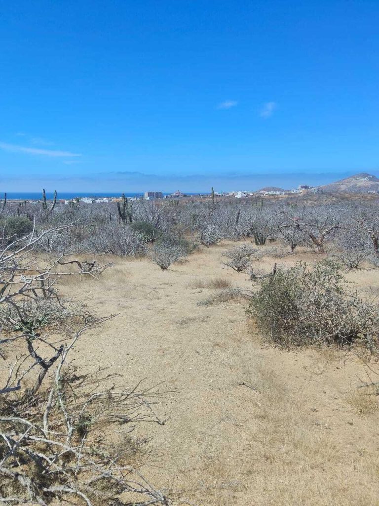 LAND OCEANVIEW LOS CERRITOS – photo 5
