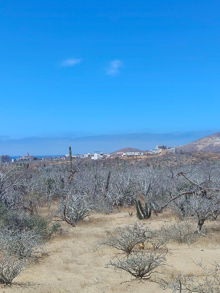 LAND OCEANVIEW LOS CERRITOS – Land for sale in Cerritos