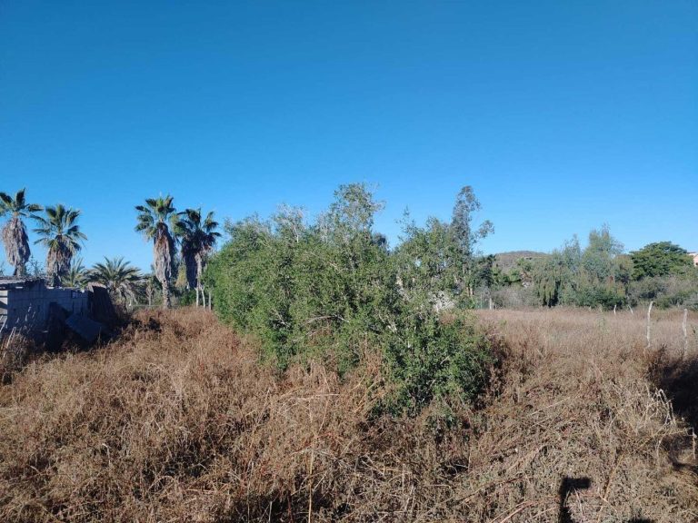 LAND PESCADERO SAN CARLOS – photo 2