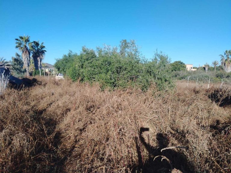 LAND PESCADERO SAN CARLOS – photo 4