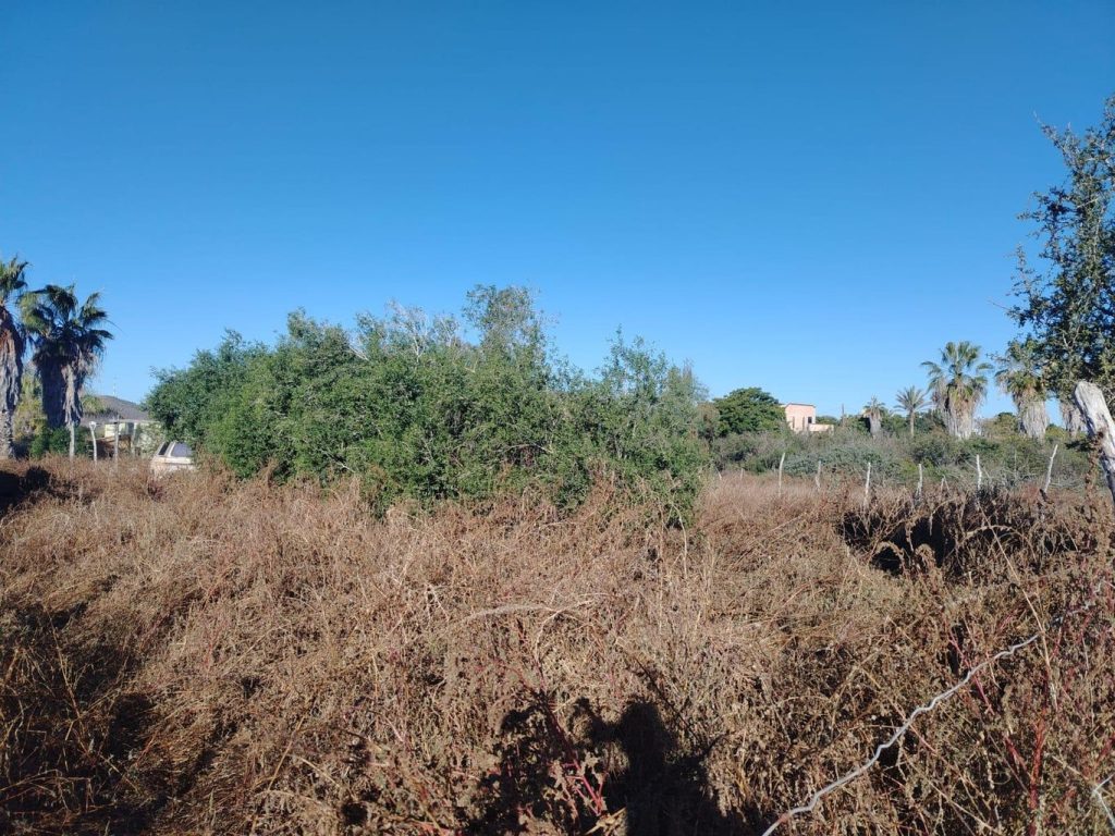 LAND PESCADERO SAN CARLOS – photo 1