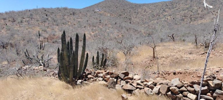 LAND RUSTIC EL PESCADERO – photo 3