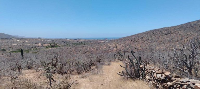 LAND RUSTIC EL PESCADERO – photo 5