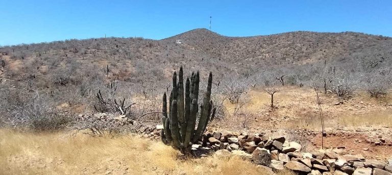 LAND RUSTIC EL PESCADERO – photo 2