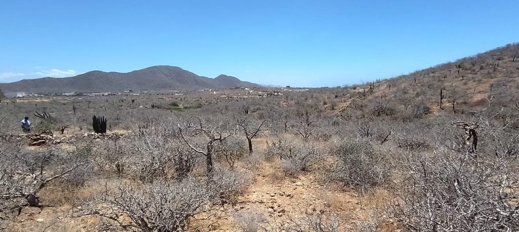 LAND RUSTIC EL PESCADERO – photo 1