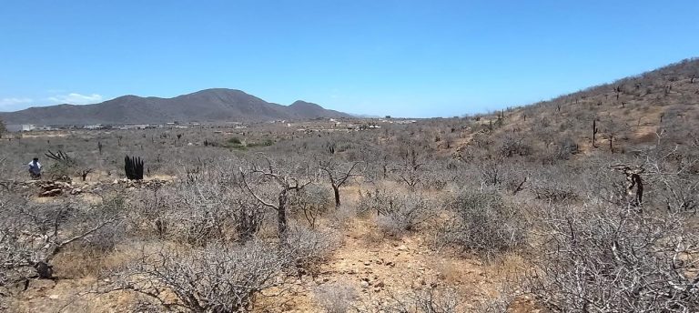 LAND RUSTIC EL PESCADERO – Land for sale in Pescadero, El Pescadero