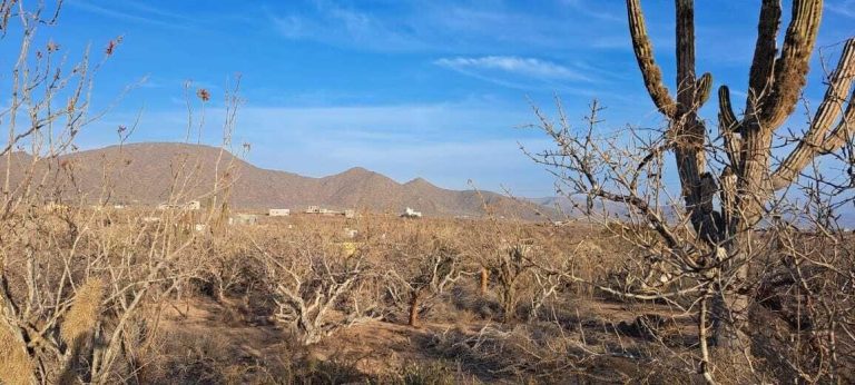 LAND RUSTIC LOS CERRITOS – Land for sale in Cerritos
