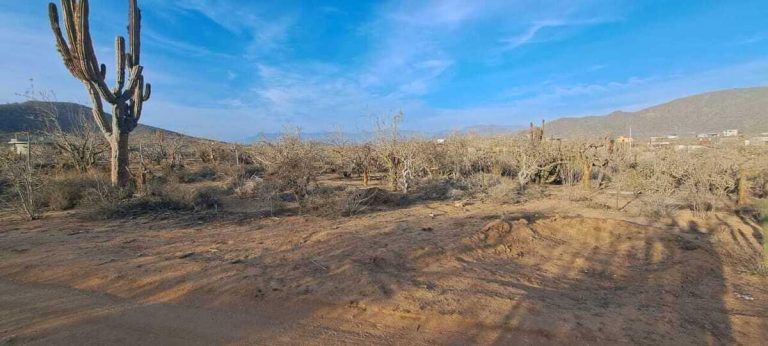 LAND RUSTIC LOS CERRITOS – photo 2