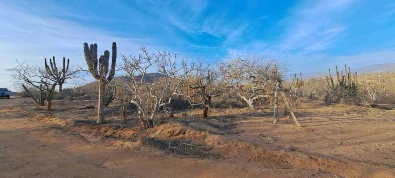 LAND RUSTIC LOS CERRITOS – photo 3