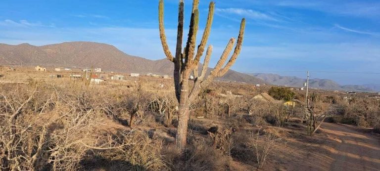 LAND RUSTIC LOS CERRITOS – photo 4
